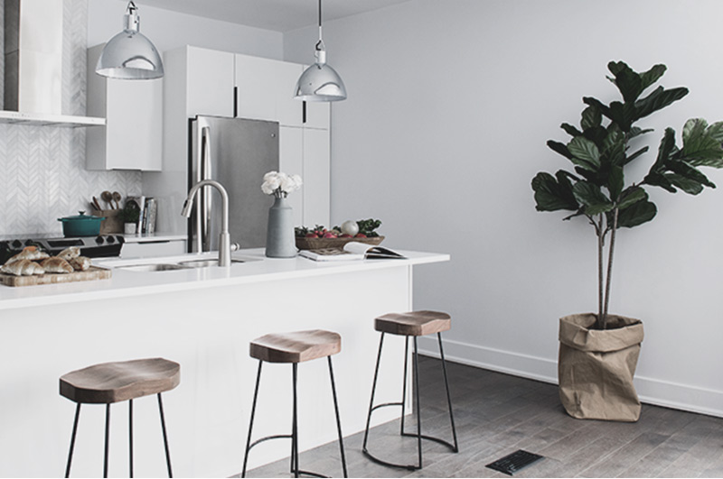 HOME h2 img 5